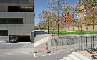 Flowering trees on top of an underground garage